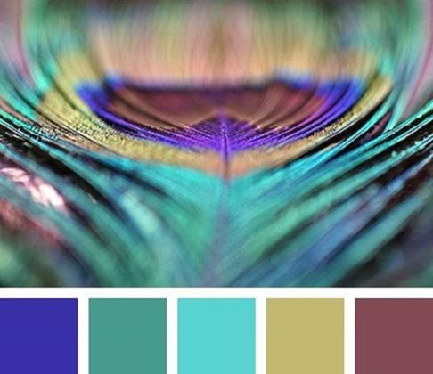 How to combine color in the interior: color chart