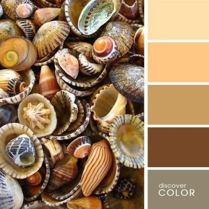 How to combine color in the interior: color chart