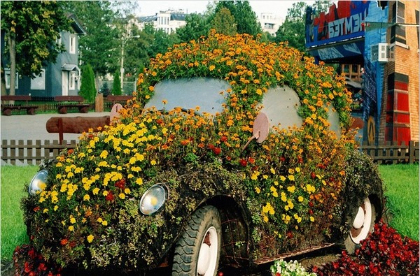 Aménagement du jardin: photos, idées pour le jardin