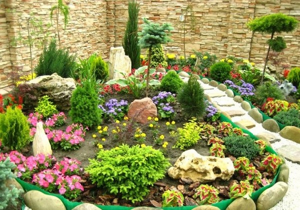 Landscaping of the garden: photos, ideas for the garden