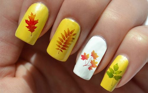Yeni sonbahar manikür fotoğrafı - sonbahar için tasarım fikirleri