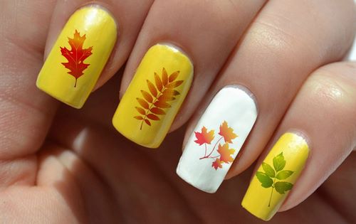 Foto della nuova manicure autunnale: idee di design per l'autunno