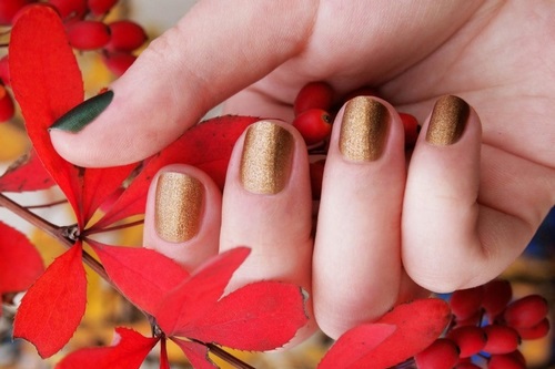 Foto-noviteiten van herfstmanicure - ontwerpideeën voor de herfst