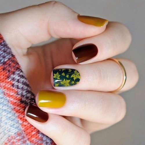 Photo novelties of autumn manicure - design ideas for autumn