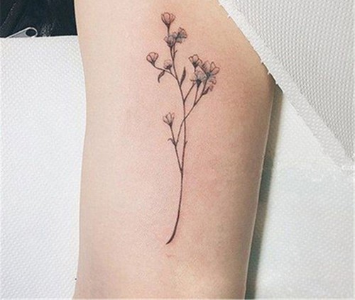 Les plus beaux tatouages ​​- idées, tendances et photos de tatouage à la mode