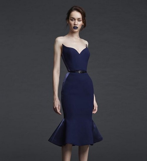 Wieczór, koktajl, swobodne niebieskie sukienki: style, nowe modele